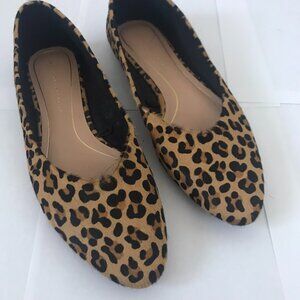 Zara Leopard Ballerina